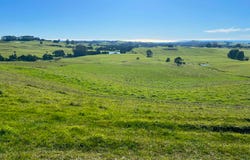 1373 Mount Hicks Road, Mount Hicks, Tas 7325