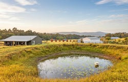 1379 Mount View Road, Millfield, NSW 2325