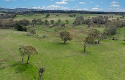 584 Huntley Road, Huntley, NSW 2800