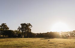 Springfield Farm, Yallingup, WA 6282