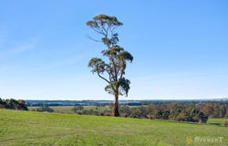 35 Holts Road, Elliminyt, Vic 3250