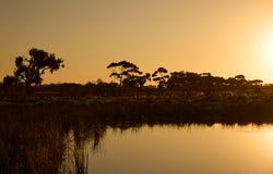 Lot 5518 Launch Drive, Tarneit, Vic 3029
