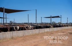 106, Hunter Road, Nildottie, SA 5238
