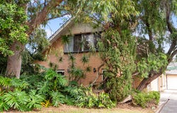 19 Dartmoor Street, Lockleys, SA 5032