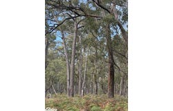 Andersons Lane, Stradbroke, Vic 3851