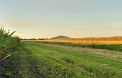 369 David Low Way, Bli Bli, Qld 4560