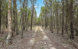 1393 Spring Creek Road, Mudgee, NSW 2850