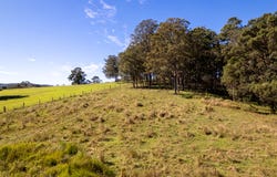 Armstrong Creek, Qld 4520