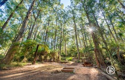 370 Old Warburton Road, Warburton, Vic 3799