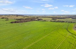 8765 Flinders Highway, Mount Hope, SA 5607