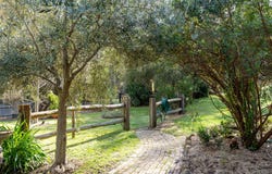 684 Tames Road, Strathbogie, Vic 3666