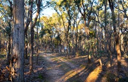 31 Centre Road, Walmer, Vic 3463