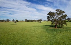 Cootamundra, NSW 2590