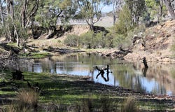 5687 Bruxner Way, Tenterfield, NSW 2372