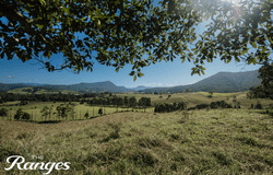Wiangaree, NSW 2474