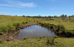 284 Tabulam Road, Lower Bottle Creek, NSW 2469