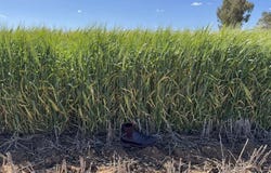 Murray River Land Pty Ltd - Southern Hub, 2448 Labuan Road, Katamatite, Vic 3649