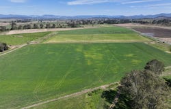 Holding 3, 288 Round Mountain Road, Laravale, Qld 4285