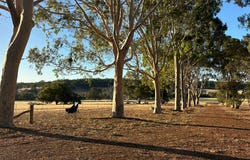 PL 805 Scotts Brook Road, Scotts Brook, WA 6244