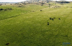 1174 Lachlan Valley Way, Bowning, NSW 2582