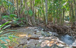 28a Geissmann Street, Tamborine Mountain, Qld 4272
