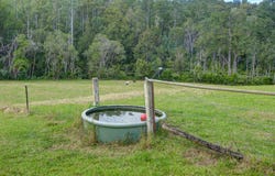 1020 Caparra Road, Caparra, NSW 2429