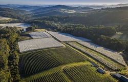 98 Mill Road, Batlow, NSW 2730
