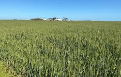 542 Adams Plain Road, Wallaroo Plain, SA 5556