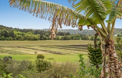 124 Boggumbil Road, Jiggi, NSW 2480