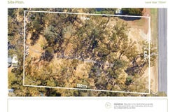 41 Rosebank Drive, Wallalong, NSW 2320