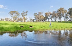 "Yellowbox", 606 Longrail Gully Road, Murrumbateman, NSW 2582