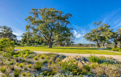 Lot 948, Darlot Loop, Lakelands, WA 6180