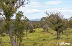 4, 25 Wanna Wanna Road, Carwoola, NSW 2620