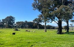 764 Back Creek Road, Gundaroo, NSW 2620