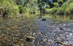 162 East Funnel Creek Road, Sarina Range, Qld 4737