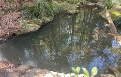 Ocean View, Qld 4521