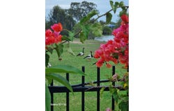 6 Bronton Way, Point Vernon, Qld 4655