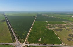 542 Adams Plain Road, Wallaroo Plain, SA 5556
