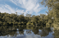 Lot 695, Ventura Boulevard, Bullsbrook, WA 6084