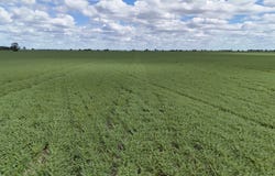 814 Murrays Road, Moree, NSW 2400