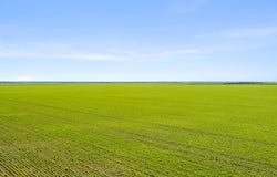 'JP's' Allotment 58 Spencer Highway, Koolywurtie, SA 5575