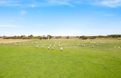 19563 Princes Highway, Kingston Se, SA 5275