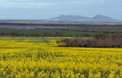 534 Lawrence Road, Kapinnie, SA 5632