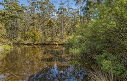 2512 Channel Highway, Lower Snug, Tas 7054