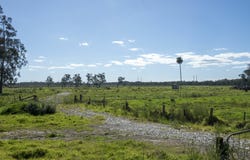 39 Lavis Lane, Williamtown, NSW 2318