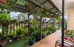 21 First Avenue, Tarzali, Qld 4885