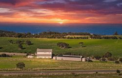 1341 Waitpinga Road, Waitpinga, SA 5211