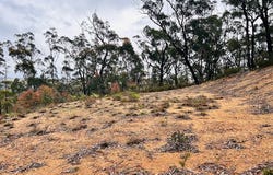 415 Blomfield Road, Yarrowitch, NSW 2354