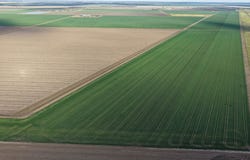 Auburn, Spring Plains, NSW 2388