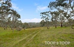56 Nyoka Road, Macclesfield, SA 5153